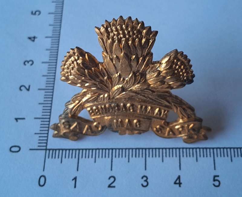 SA Armoured Corps Cap Badge.  Screw Lugs Intact.