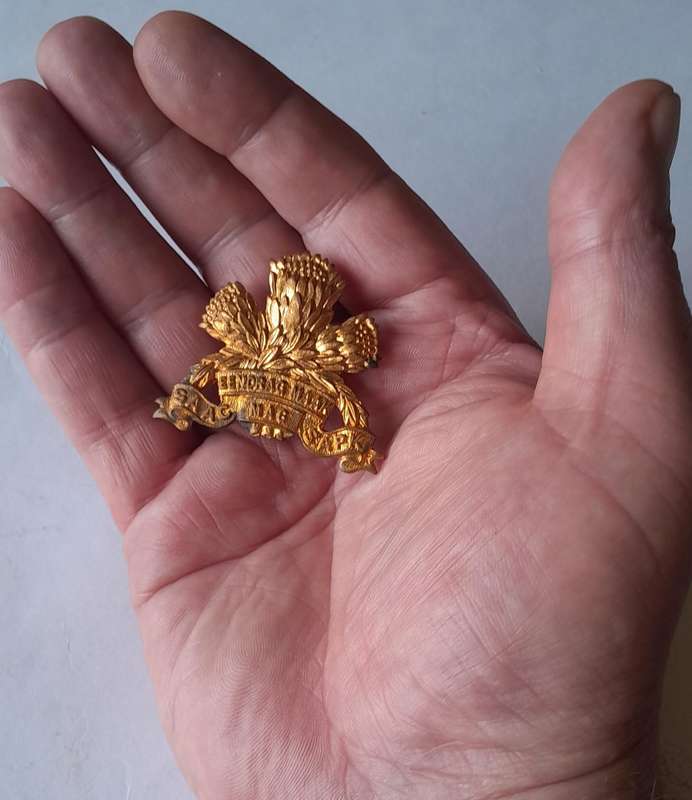 SA Armoured Corps Cap Badge.  Screw Lugs Intact.
