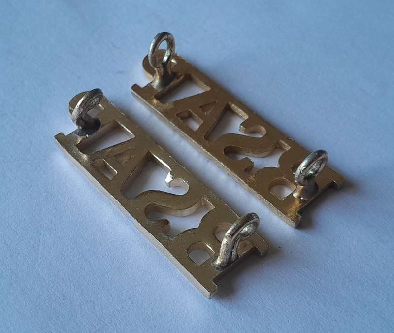 Pair Rhodesian BSAP (British South African Police) Shoulder Titles.  Lugs Intact.