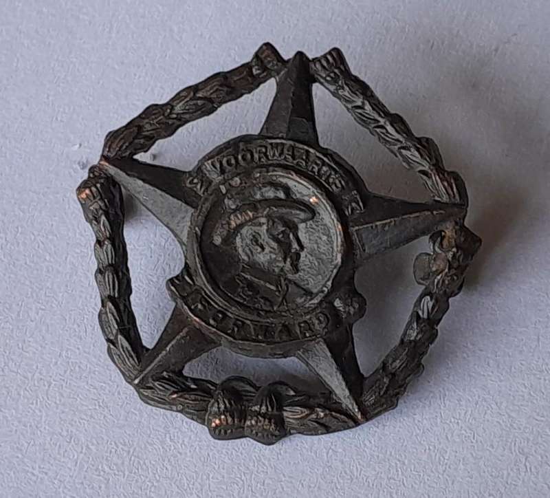 Pair SA Army Regiment Botha Collar Badges.  Lugs Intact.