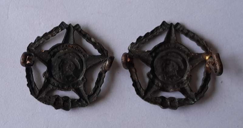 Pair SA Army Regiment Botha Collar Badges.  Lugs Intact.