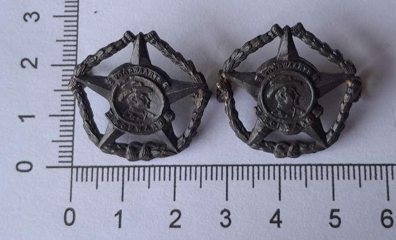 Pair SA Army Regiment Botha Collar Badges.  Lugs Intact.