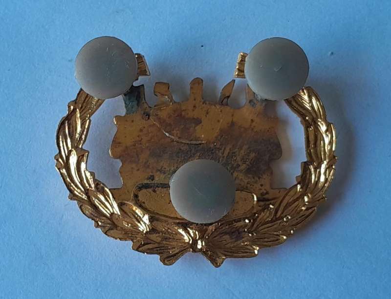 Vintage Bophuthatswana Army Warrant Officer Rank Badge.  Pins Intact.