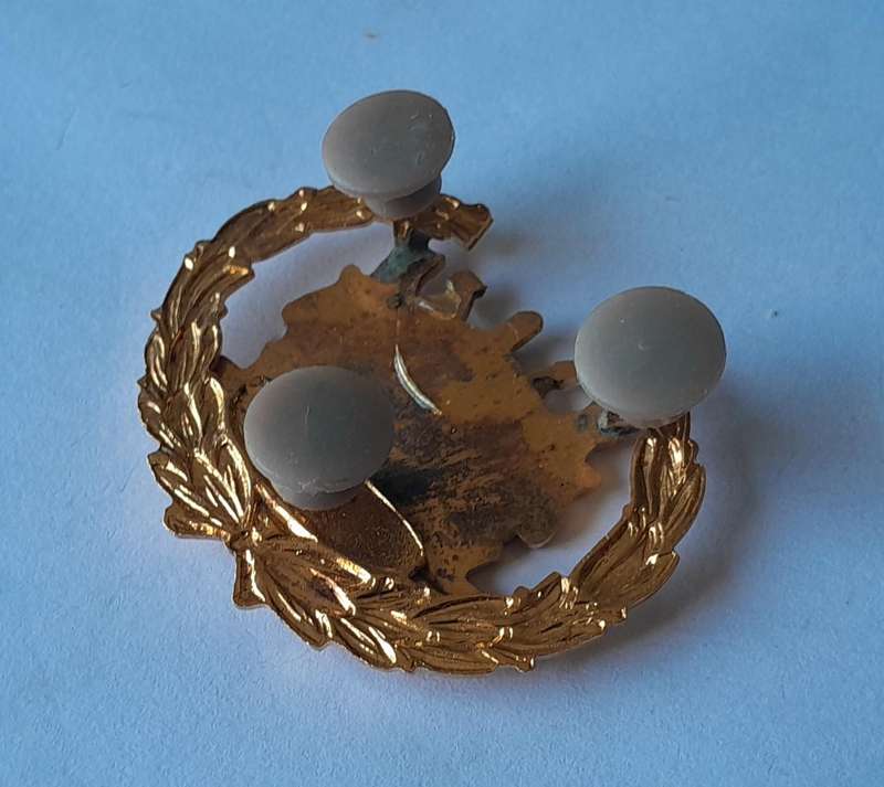 Vintage Bophuthatswana Army Warrant Officer Rank Badge.  Pins Intact.
