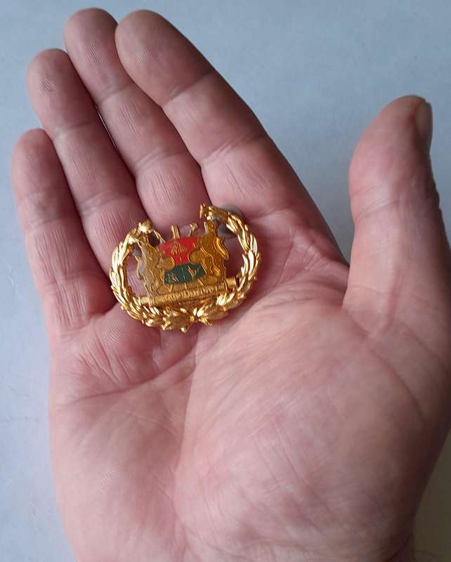 Vintage Bophuthatswana Army Warrant Officer Rank Badge.  Pins Intact.