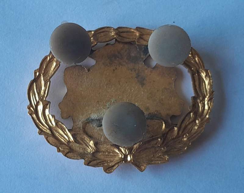 SA Homelands Kangwane Police Warrant Officer Badge.  Pins Intact.