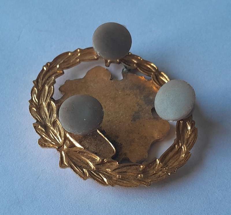 SA Homelands Kangwane Police Warrant Officer Badge.  Pins Intact.