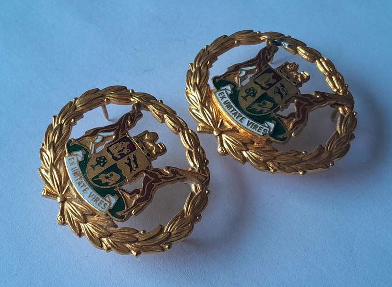 Pair SA Police Warrant Officer Badges.  Gilt & Enamel.  Pins Intact.