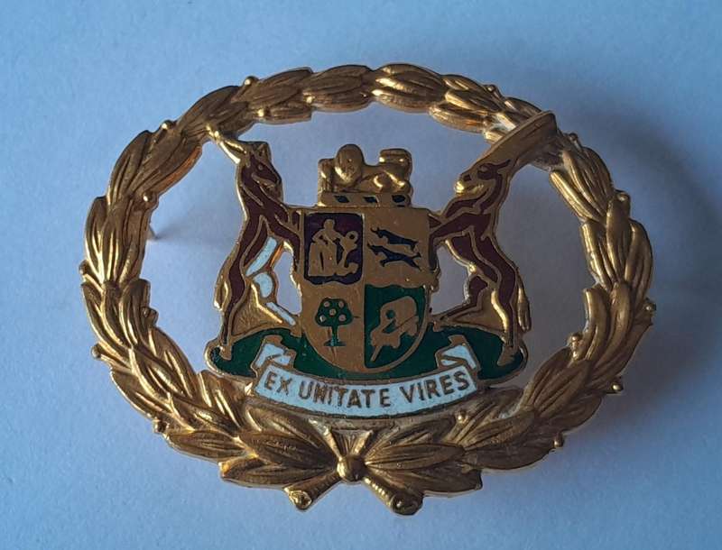 Pair SA Police Warrant Officer Badges.  Gilt & Enamel.  Pins Intact.