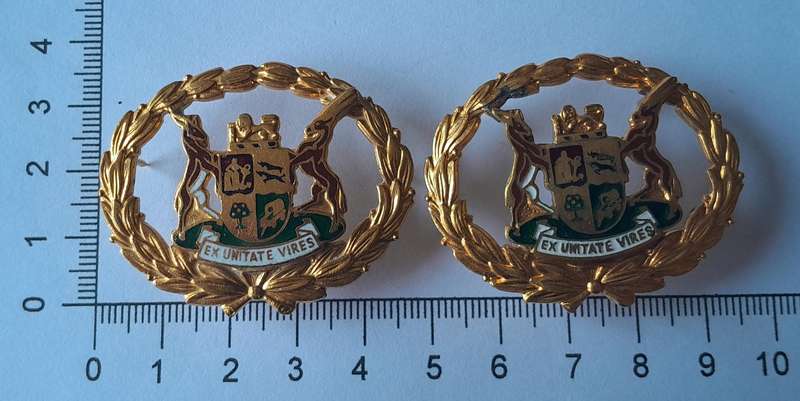 Pair SA Police Warrant Officer Badges.  Gilt & Enamel.  Pins Intact.