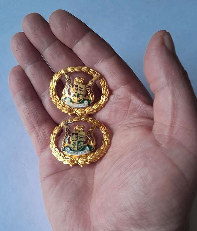 Pair SA Police Warrant Officer Badges.  Gilt & Enamel.  Pins Intact.