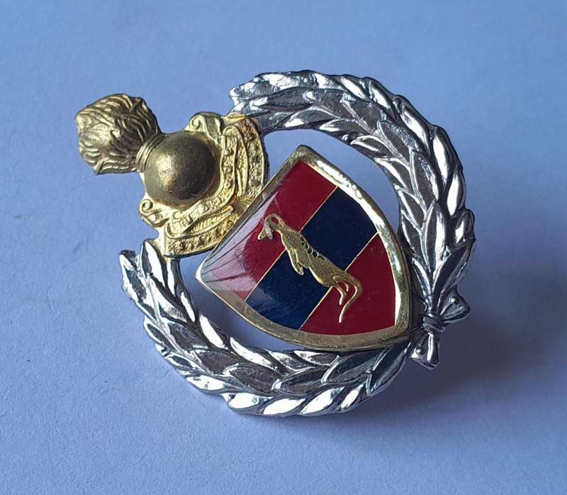 SADF 6 Field Engineer Regiment Cap Badge.  Screw Lugs Intact.