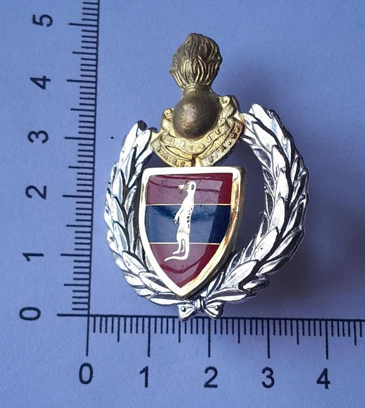 SADF 6 Field Engineer Regiment Cap Badge.  Screw Lugs Intact.