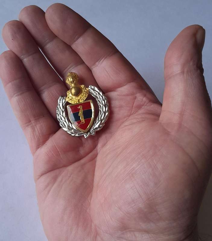 SADF 6 Field Engineer Regiment Cap Badge.  Screw Lugs Intact.