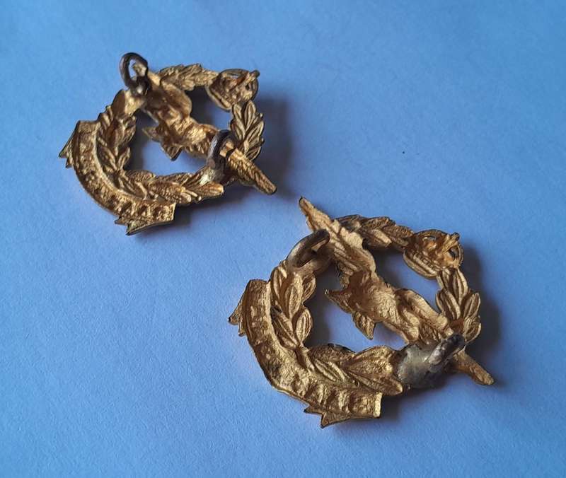Pair WW2 SA Air Force Collar Badges (facing).  Lugs Intact.