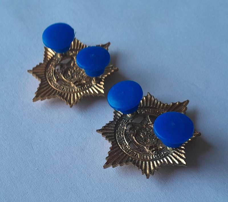 Pair Vintage SAP Collar Badges.  Pins Intact.