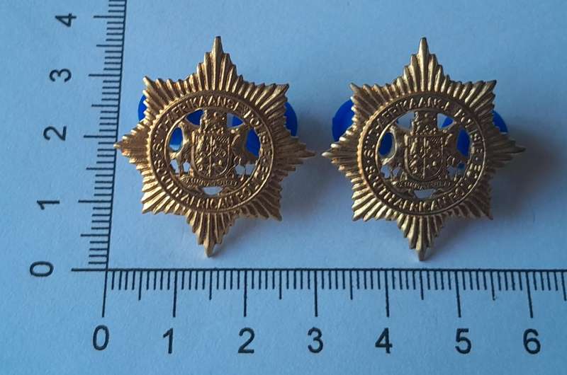 Pair Vintage SAP Collar Badges.  Pins Intact.