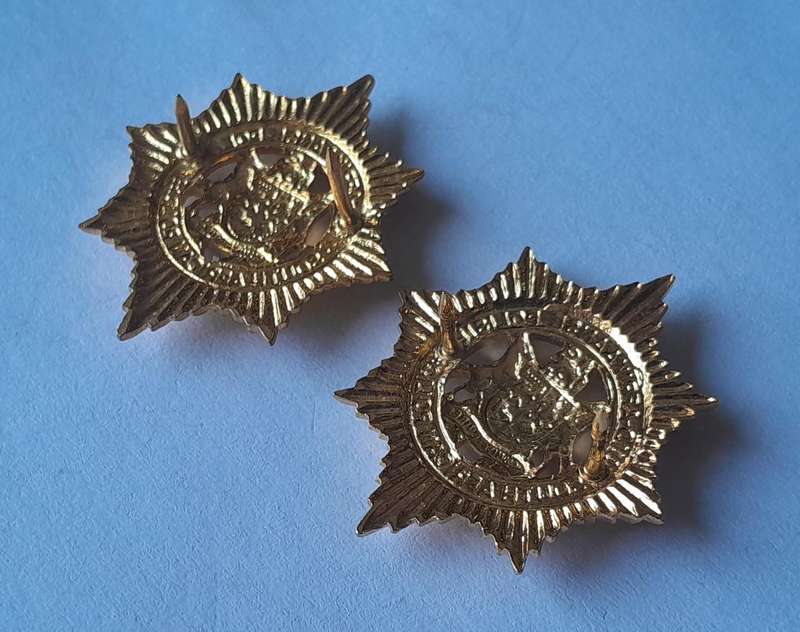Pair Vintage SAP Collar Badges.  Pins Intact.