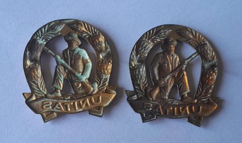 Pair SADF Commando Collar Badges (facing).  Pins Intact.