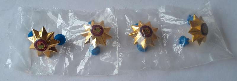 Set of 4 SADF 9 Point Rank Pips.  Pins Intact.
