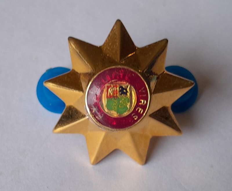 Set of 4 SADF 9 Point Rank Pips.  Pins Intact.