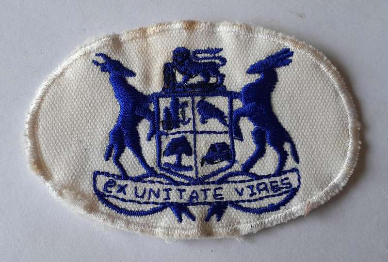 Pair SADF Navy Warrant Officer Rank Badges.