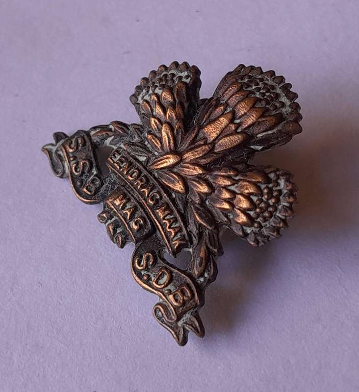 SADF Special Service Battalion Badge.  Lugs Intact.