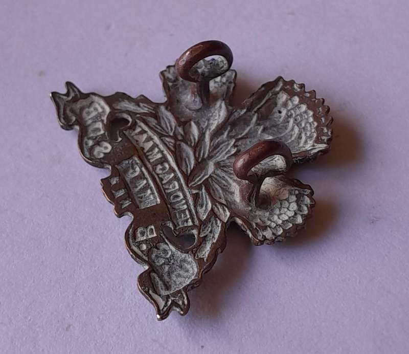 SADF Special Service Battalion Badge.  Lugs Intact.