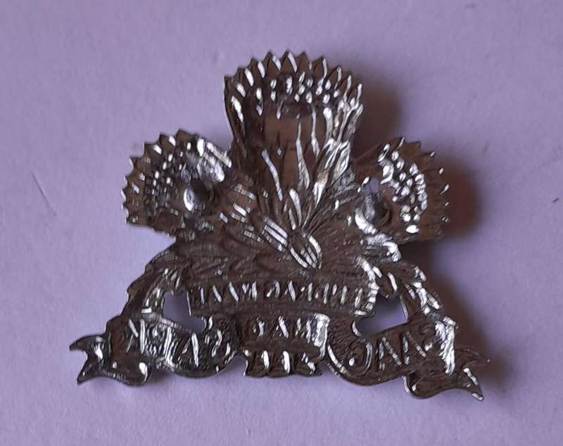SADF Armoured Corps Badge.  Pins Intact.