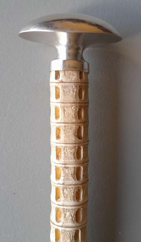 Antique Hugo Bohm Silver Topped Vertebrae Walking Stick. Modernist. Circa 1900.