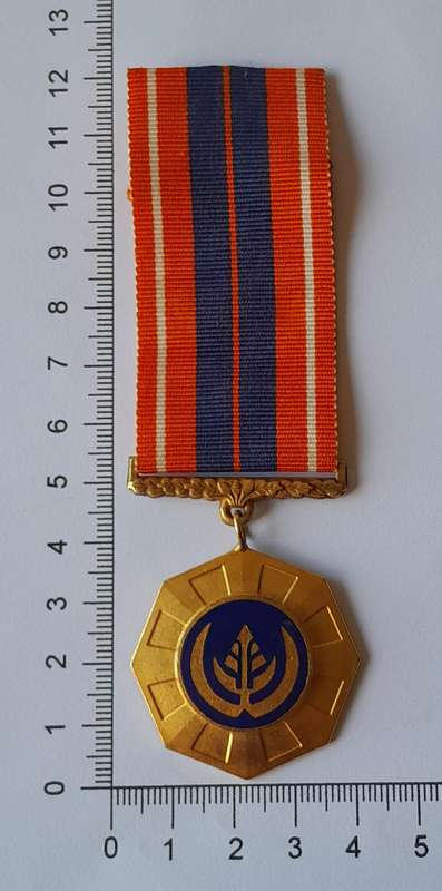 SADF Pro Patria Full-Size Medal. No. 79919.