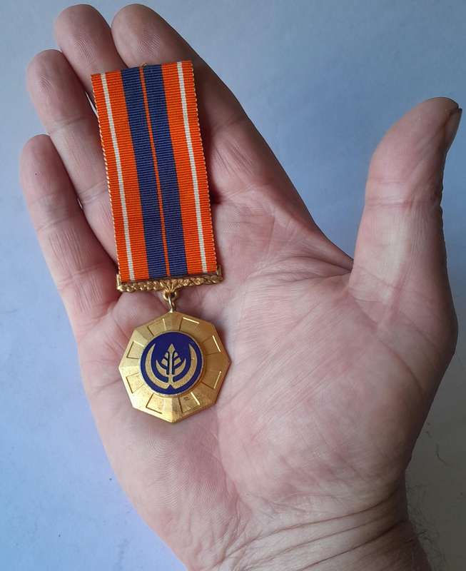 SADF Pro Patria Full-Size Medal. No. 79919.