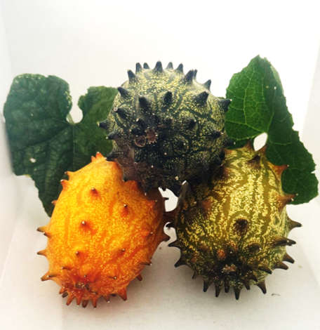 Organic African Horned Cucumber  2kg
