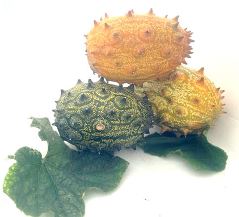 Organic African Horned Cucumber  2kg