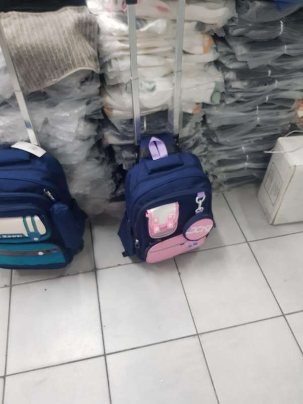 Rolling Kids School Backpack