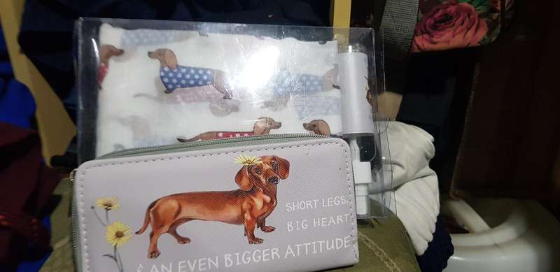 Hot Dog Essentials" Dachshund-themed Gift Set