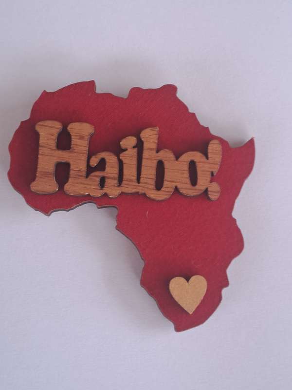 Fridge Magnets Africa- Shaped x 6