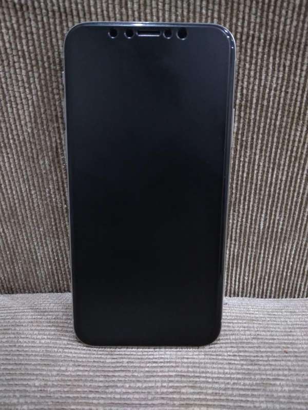 IPhone X (256gb)