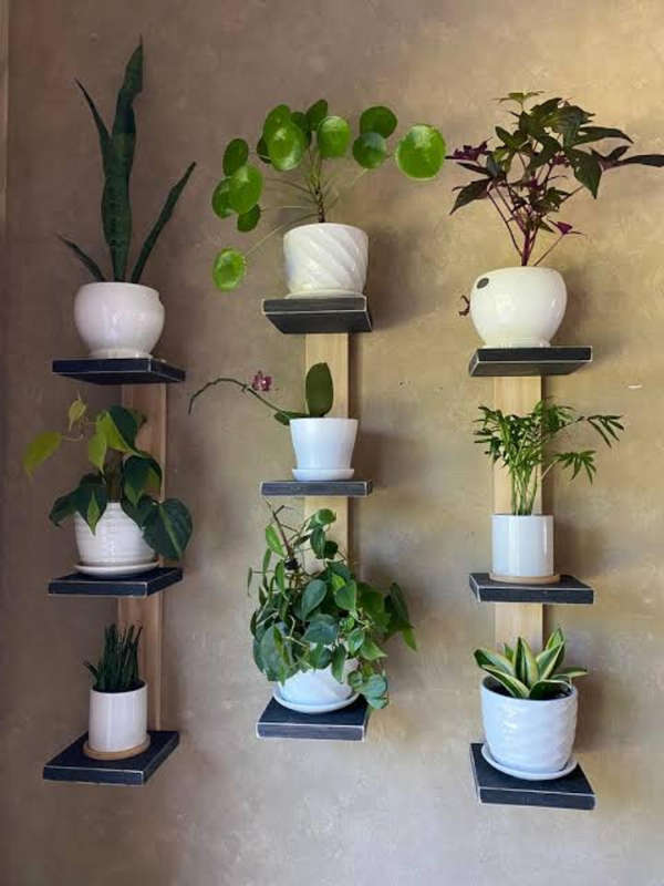 Walls shelf plant holder