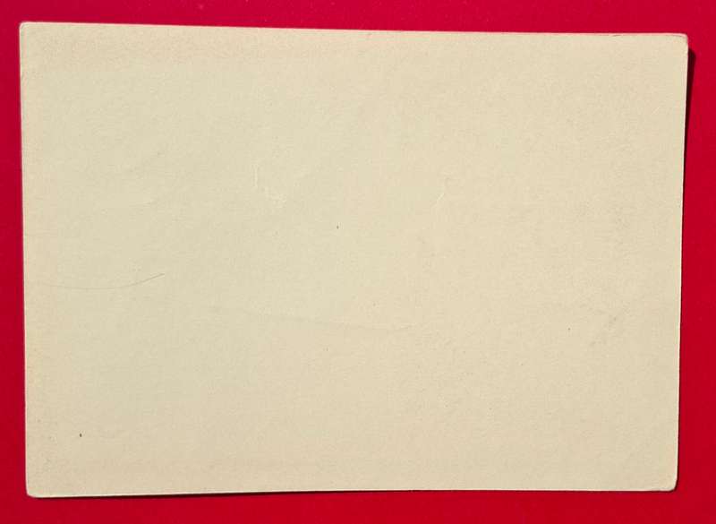 DEUTSCHES REICH original propaganda post card 30 January 1933 (Germany)