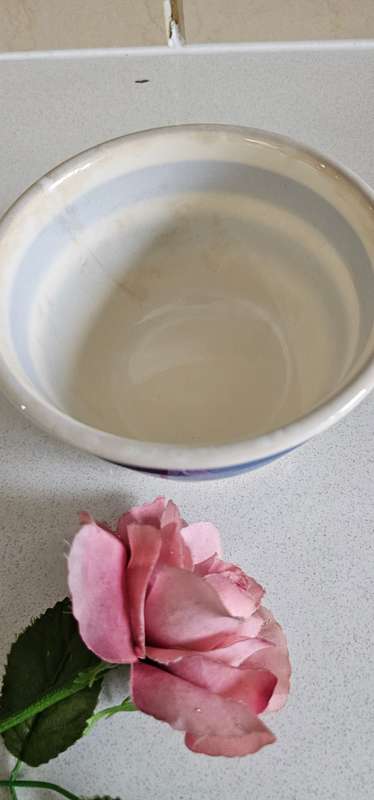 Staffordshire Chefware mixing bowl