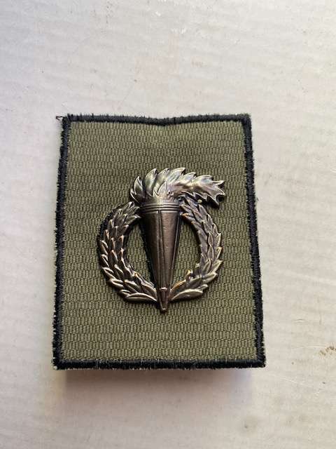 Path Finders Badge and Patch. All pins