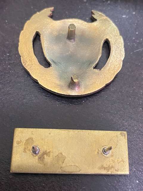 10 SAI Cap Badge and Bar