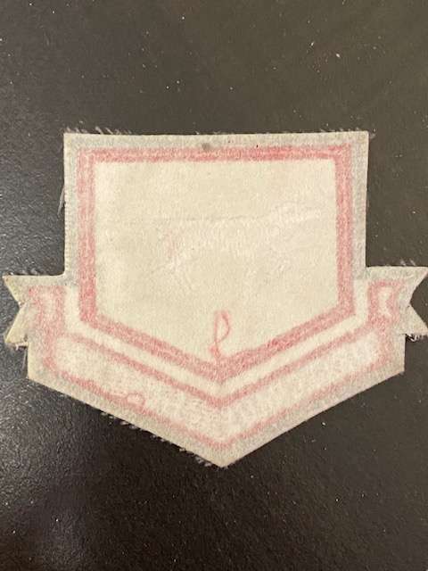 41 Squadron SAAF Patch.