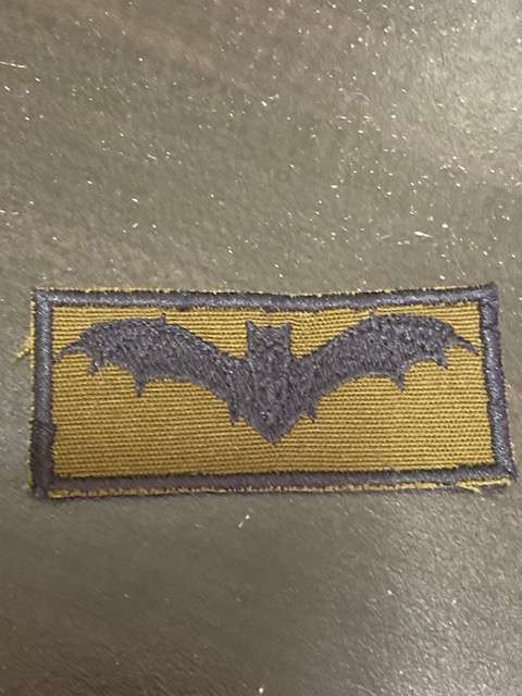 SA Junior Recce Breast Wings