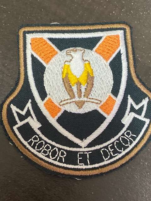 101 Commando/Reserve Squadron Patch.
