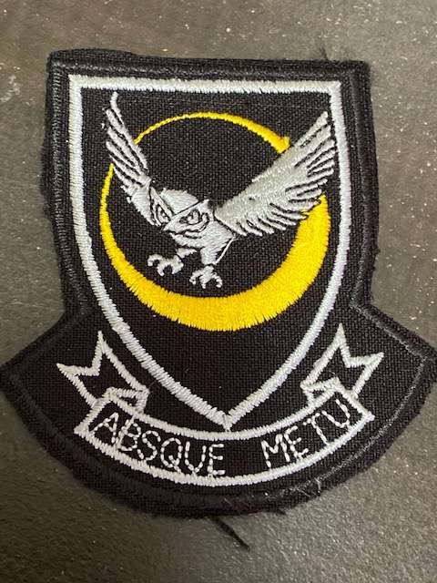31 Squadron Patch.