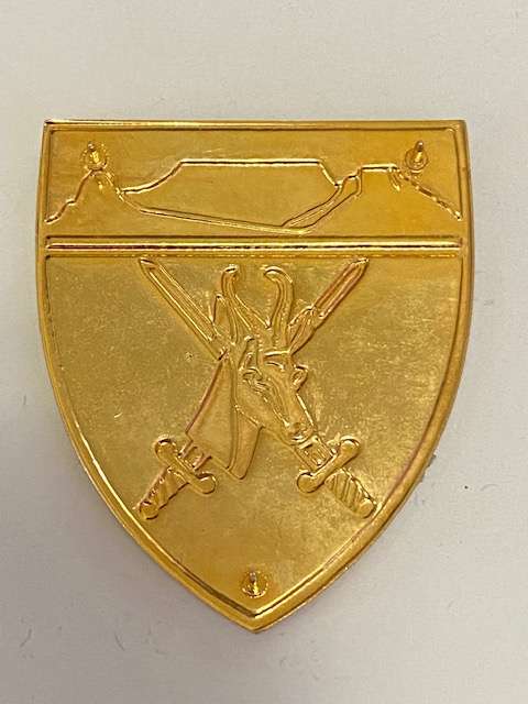 Western Province Command Flash. All Pins