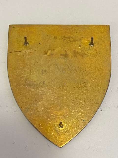 SADF School of Engineers Flash All Pins.