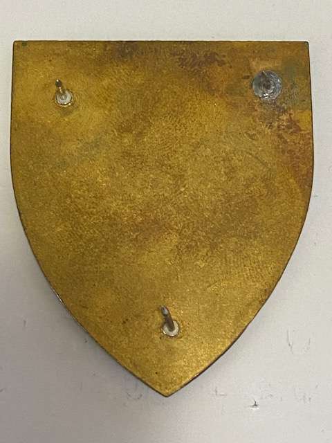 1 Parachute Battalion shoulder flash. All Pins